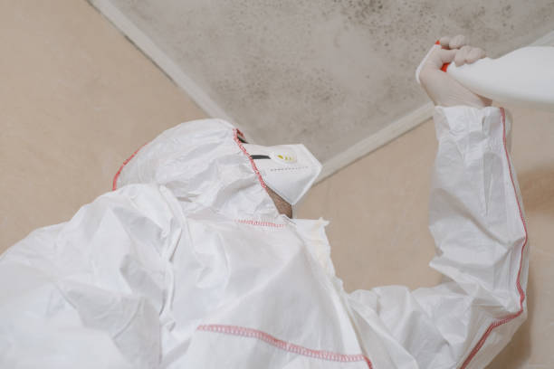 Best Mold Remediation  in East Mountain, TX